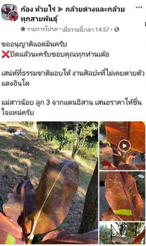 ก้อง ห้วยไร่