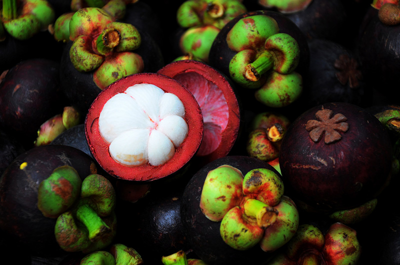 เที่ยวสวนผลไม้จันทบุรี 2568 จันทบุรี มังคุด