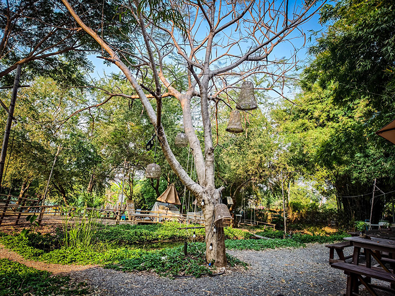 สวนบ้านในหัวใจบ้านนอกคาเฟ่ ร้านคาเฟ่ในสวน