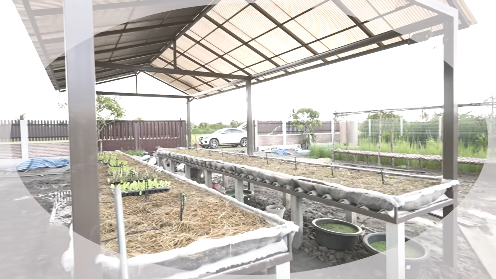 คุณยายหนิง แม่ชมพู่ 