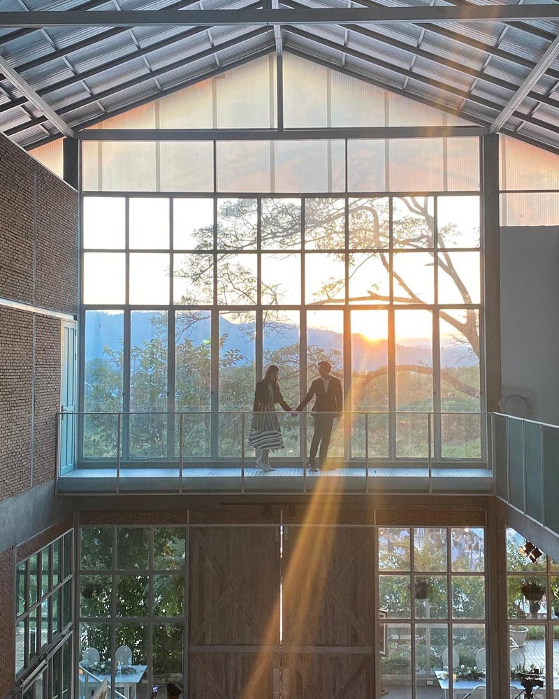 มิ้นต์ ภูผา