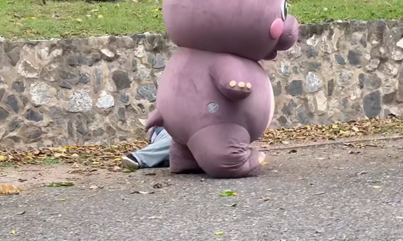 หมูเด้ง