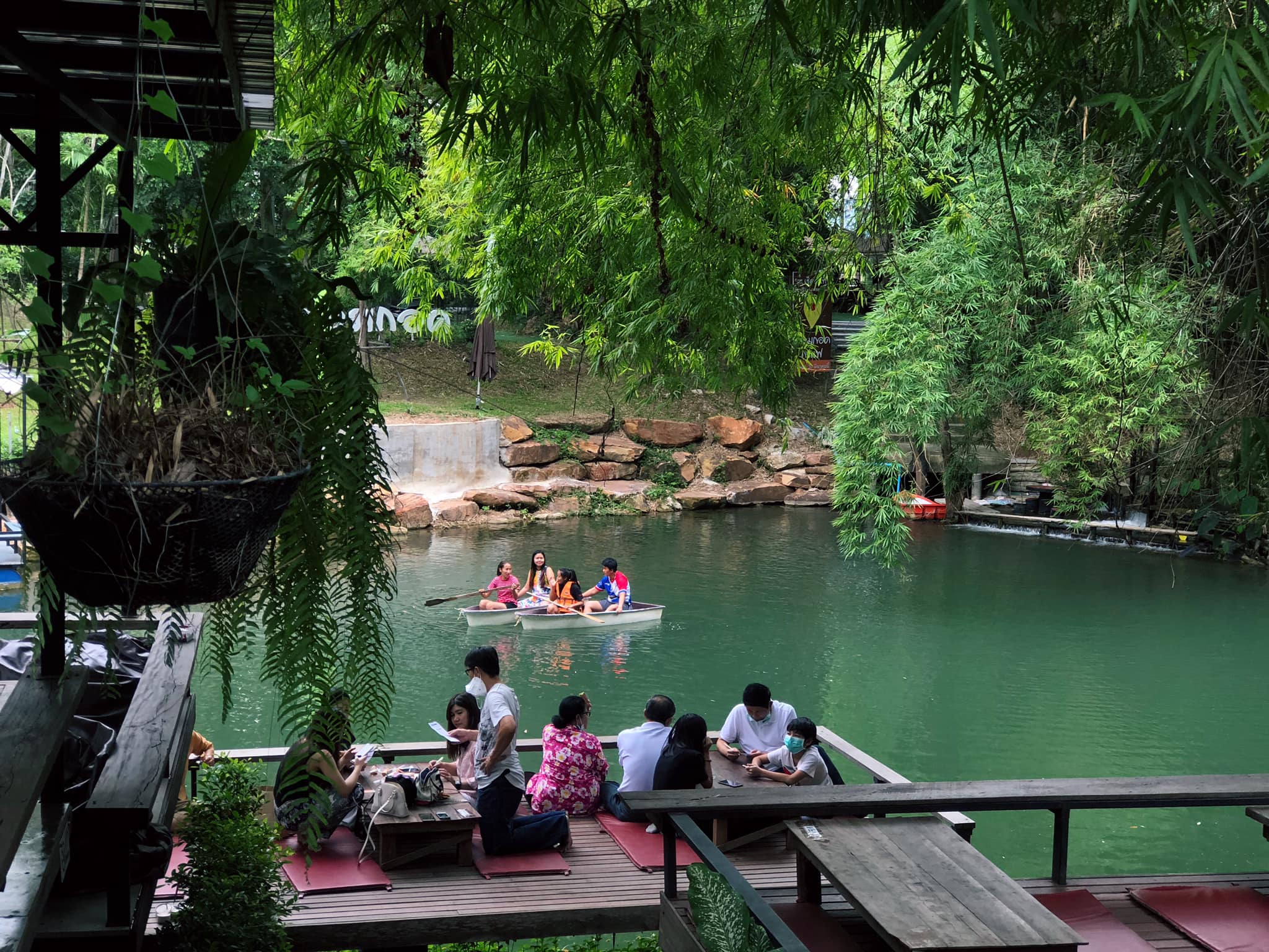 คาเฟ่ในป่า