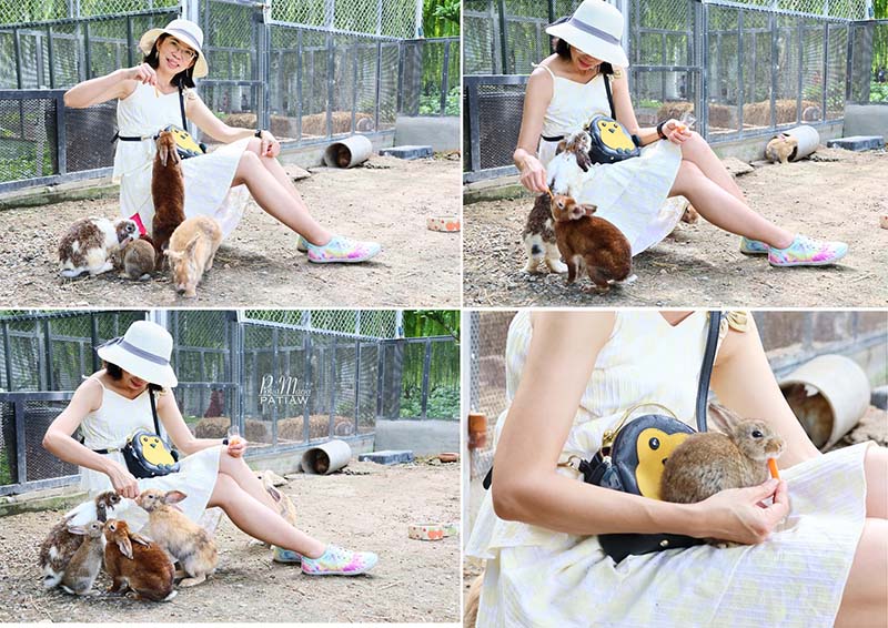 ไร่ทรัพย์ประยูร ที่เที่ยวลพบุรี