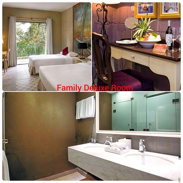 Mercure Danang French Village Bana Hills