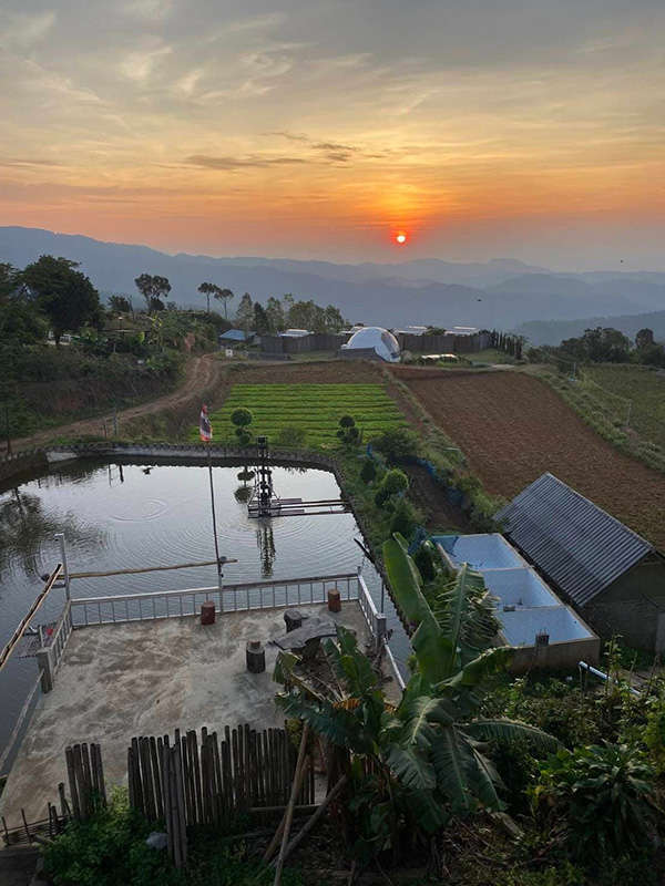 ดอยแม่มอญ เชียงราย