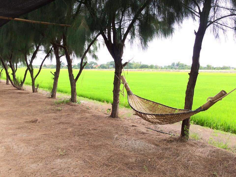 ปิ่นฟ้าฟาร์ม จังหวัดปทุมธานี