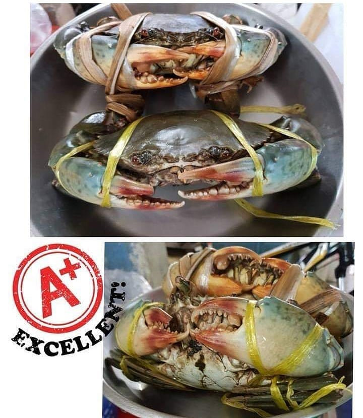 ร้านอาหารทะเลสด