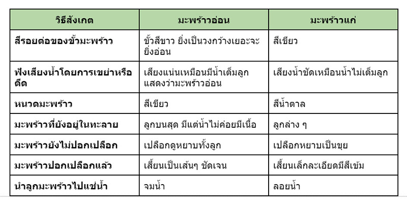 มะพร้าวอ่อน