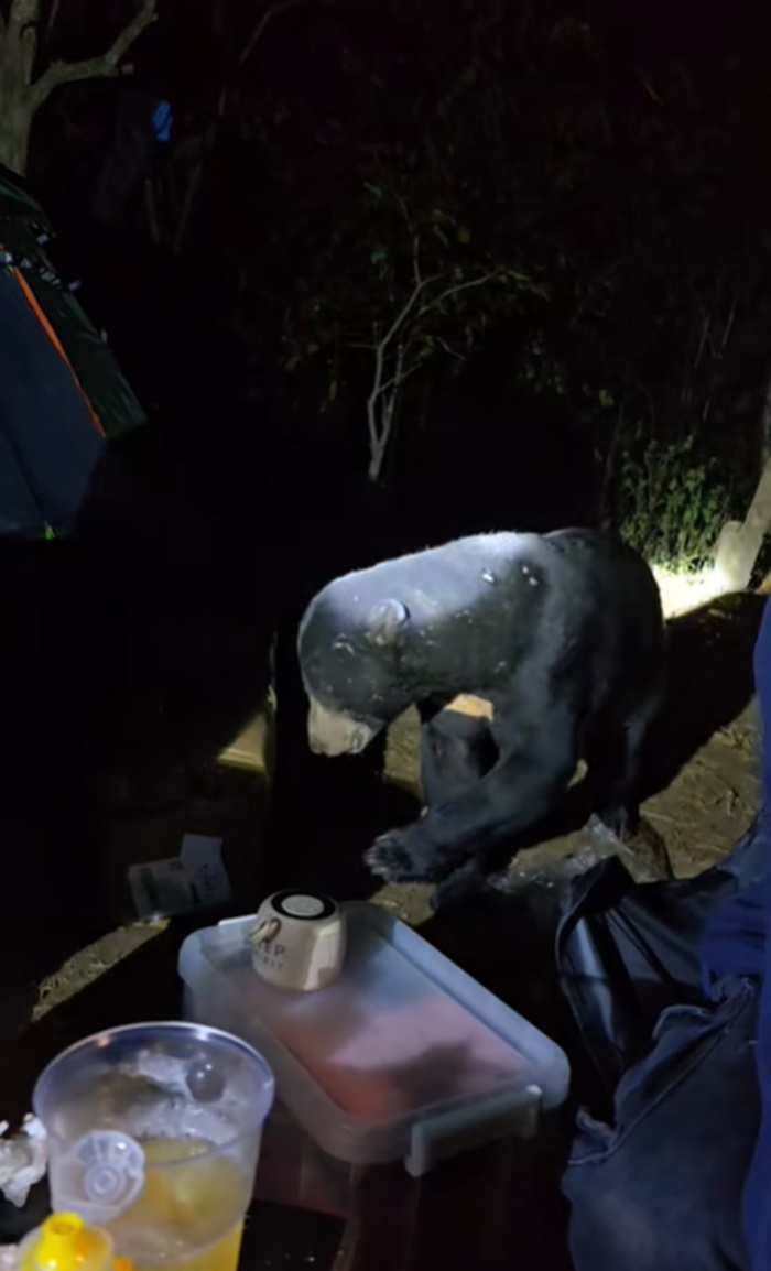 ตั้งแคมป์