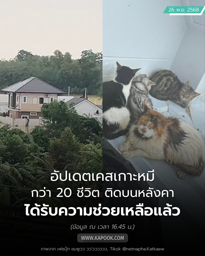 เจ้าของติดบนหลังคา พร้อมหมา-แมว กว่า 20 ชีวิต คนห่วงหลังเงียบหาย... มีอัปเดตแล้ว