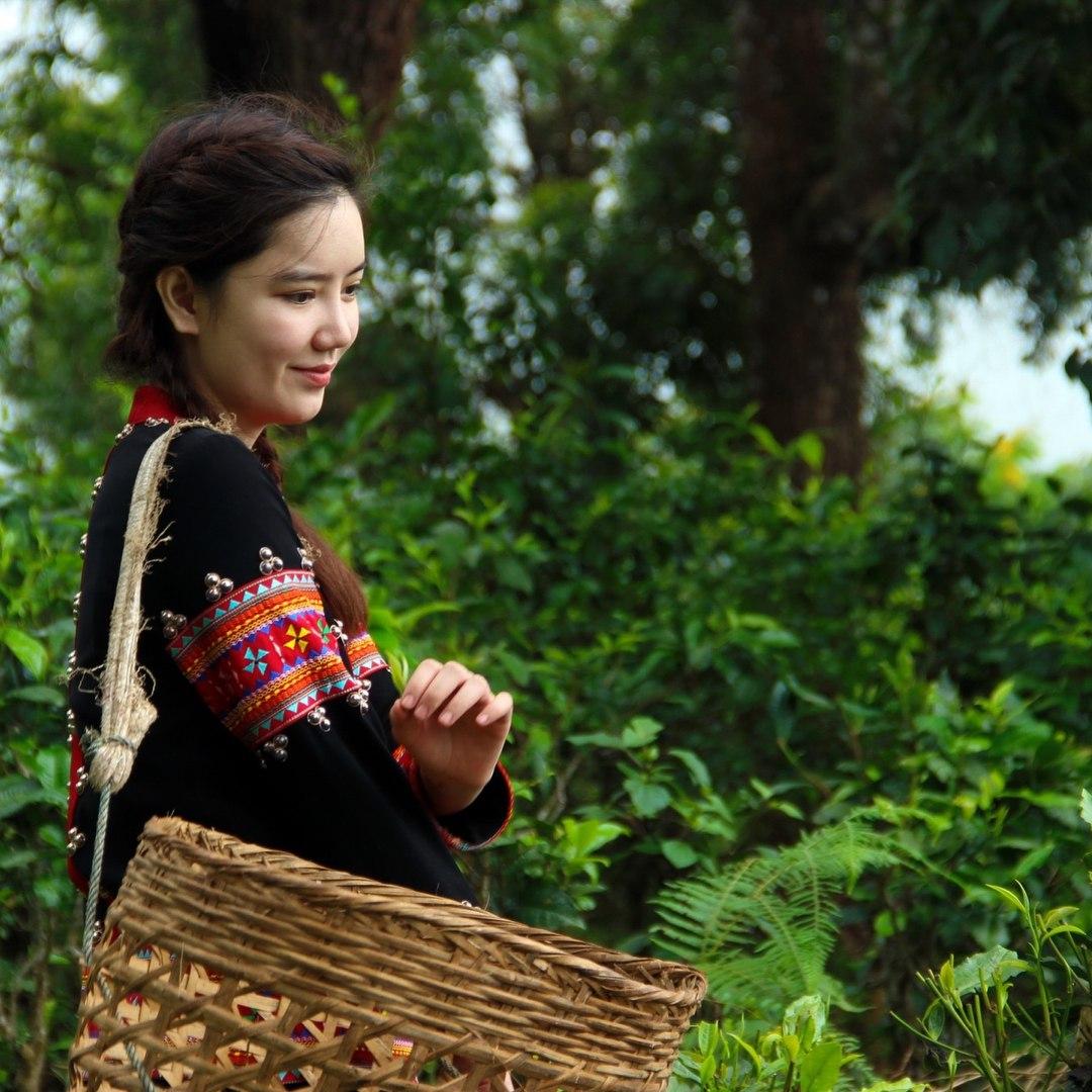 ริชชี่ อรเณศ