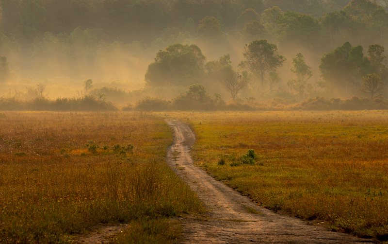 ทุ่งกระมัง 2569 เปิดการท่องเที่ยว