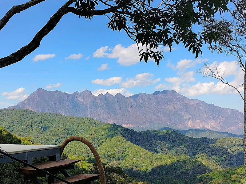 บ้านป่าโหล วิวดอยหลวงเชียงดาว