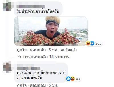 ลูกหมี วันนาบีหมี My Mate Nate