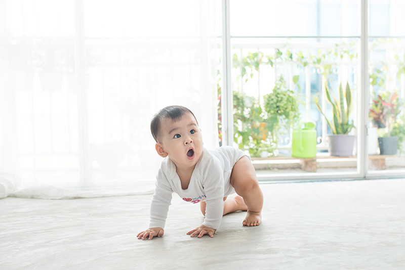 ลูกไม่คลาน