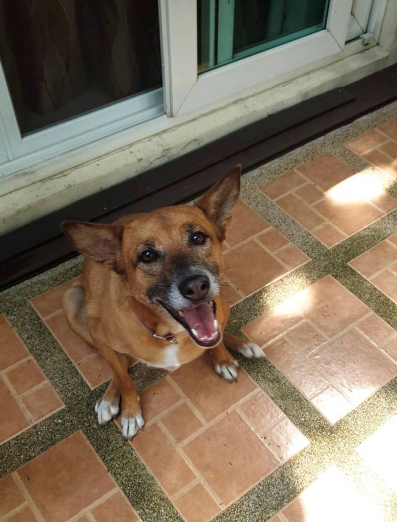 ชิน ชินวุฒ