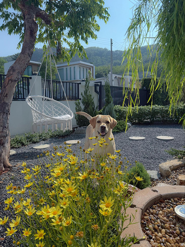 แบบบ้านบ้านและสวนบนเขา