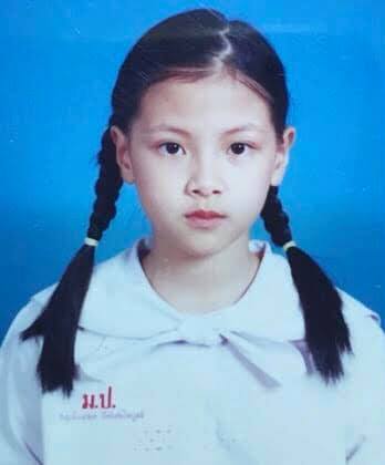 ใบเฟิร์น พิมพ์ชนก