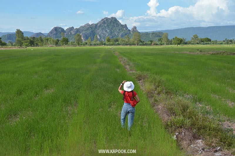 เนินมะปราง พิษณุโลก