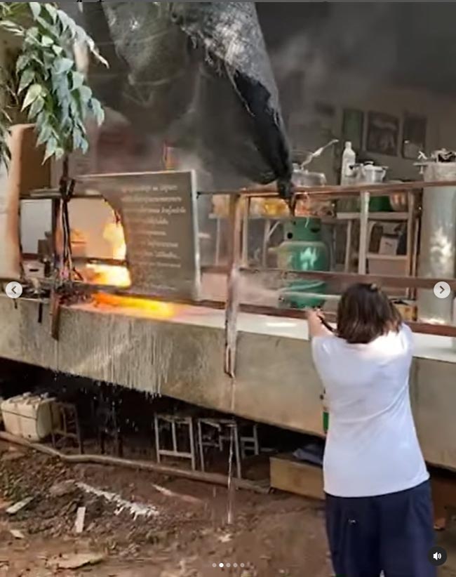 ปาน ธนพร