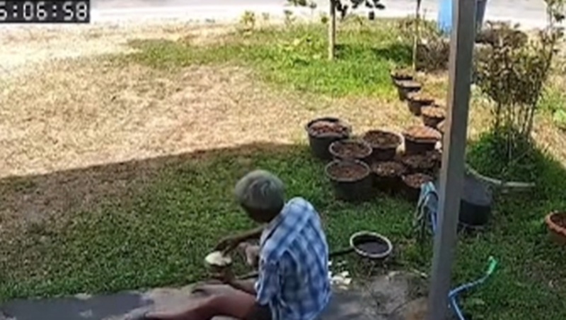 น้ำมะพร้าว