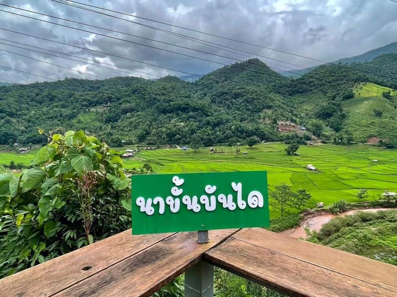 บ้านเวร นาขั้นบันได