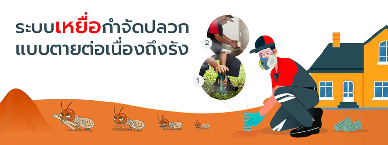 บริษัทกำจัดปลวก ระบบเหยื่อ Rentokil