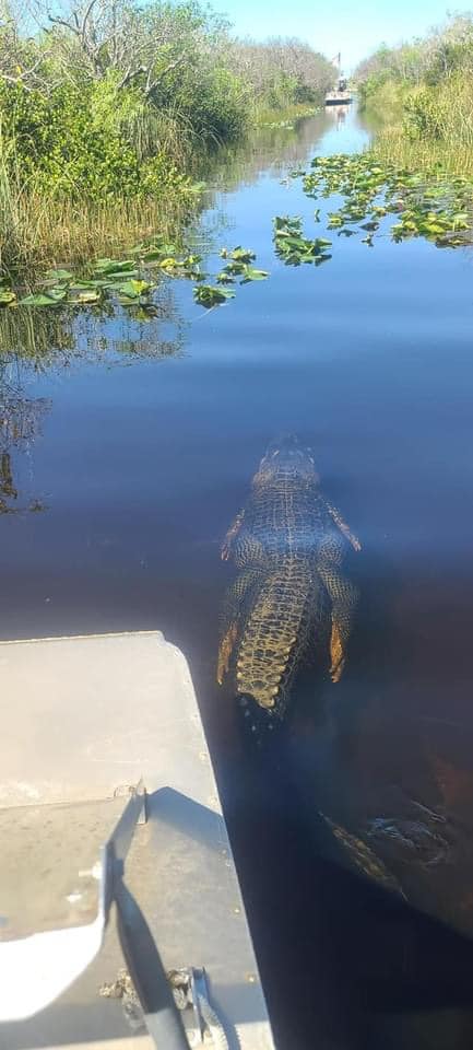 ตกปลาในคลอง