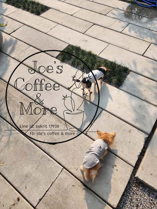 Joe's Coffee & More