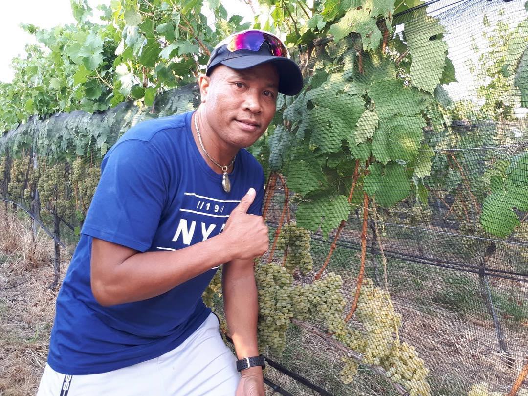 ไมค์ ภิรมย์พร