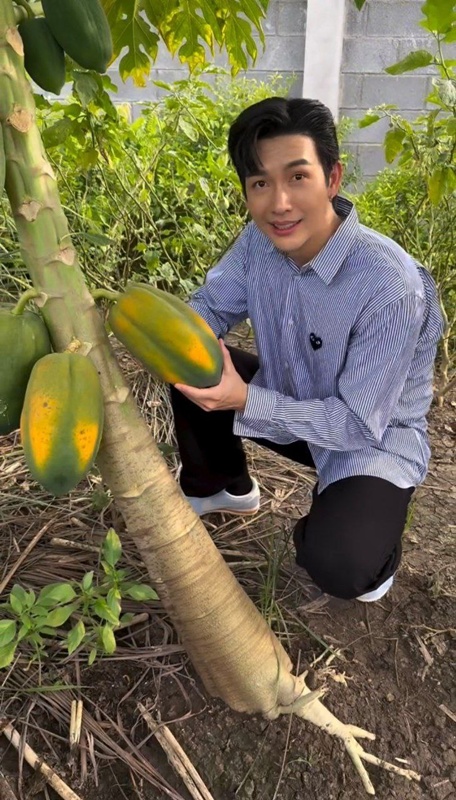 ส่องบ้านสวน พุฒ-จุ๋ย กับผลผลิตงอกงาม