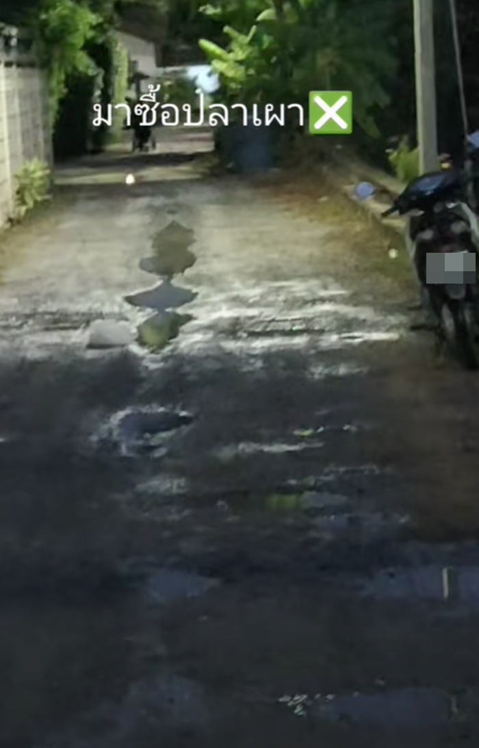 ซื้อปลาเผา