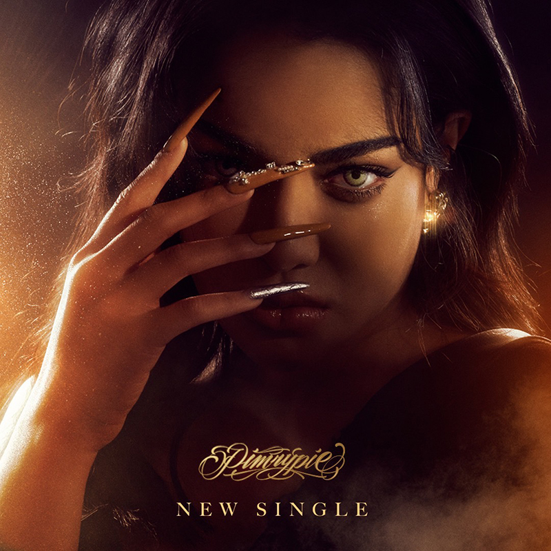 เพลงใหม่ พิมรี่พาย