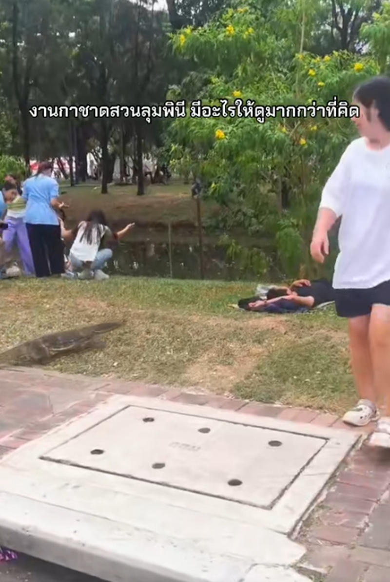 ปูเสื่อนอน