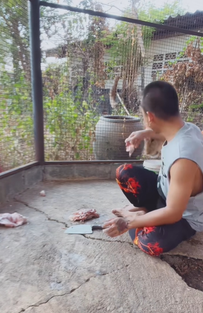 ให้อาหารสิงโต