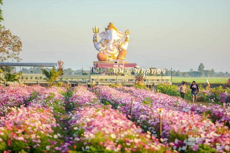 ที่เที่ยวปีใหม่ใกล้กรุงเทพฯ