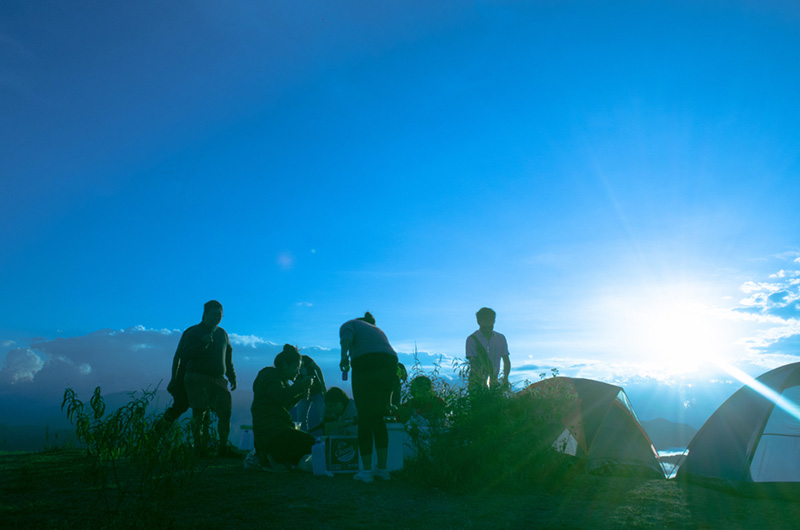 พิศวงตานกฮูก