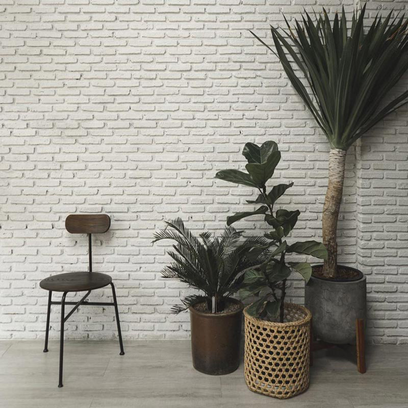 ร้านกาแฟ เมนูกาแฟส้ม