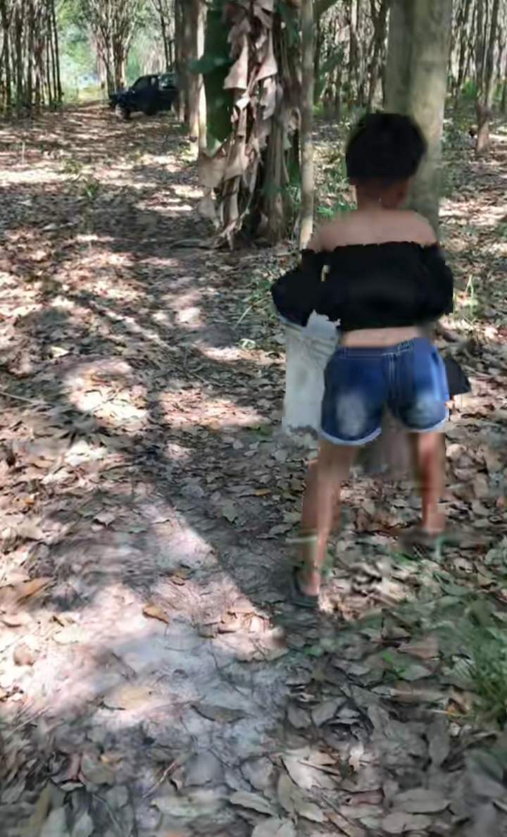 ดูรถแห่