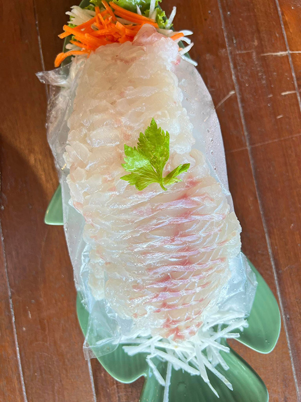 หมึกเมาคลื่นซาซิมิ กะทิงลาย ชลบุรี