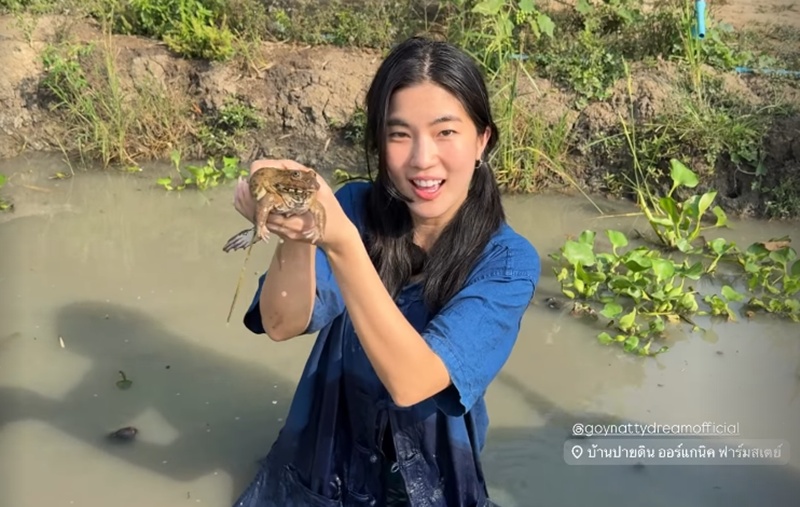 ก้อย อรัชพร