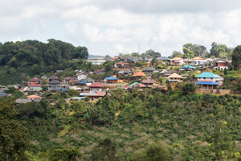 เที่ยวดอยช้าง