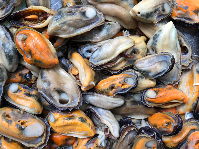 วิธีล้างหอยแมลงภู่