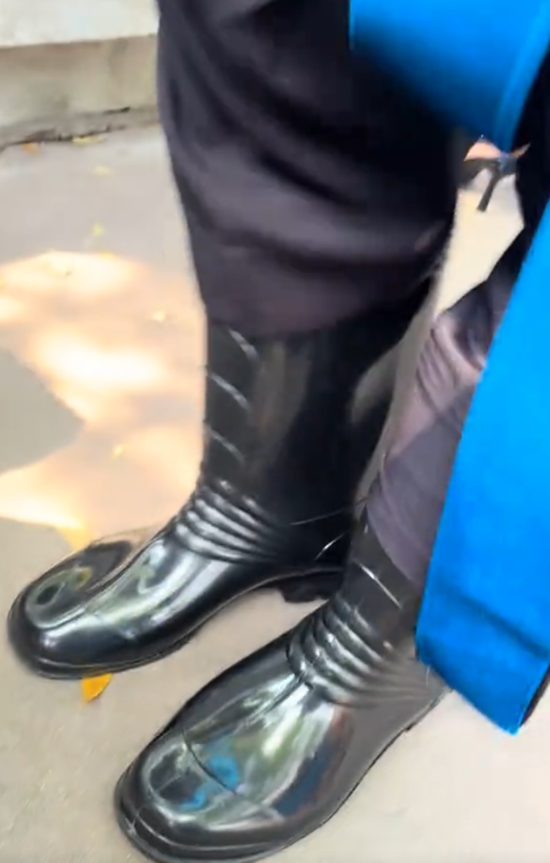 รับปริญญา