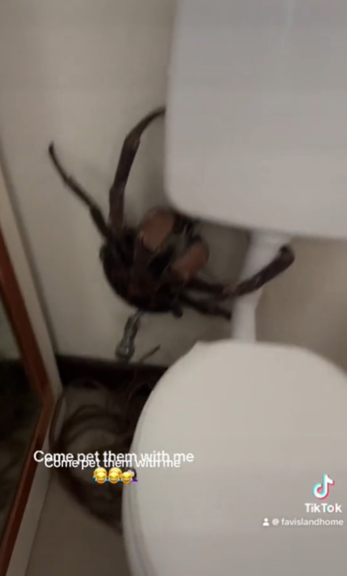 เข้าห้องน้ำ