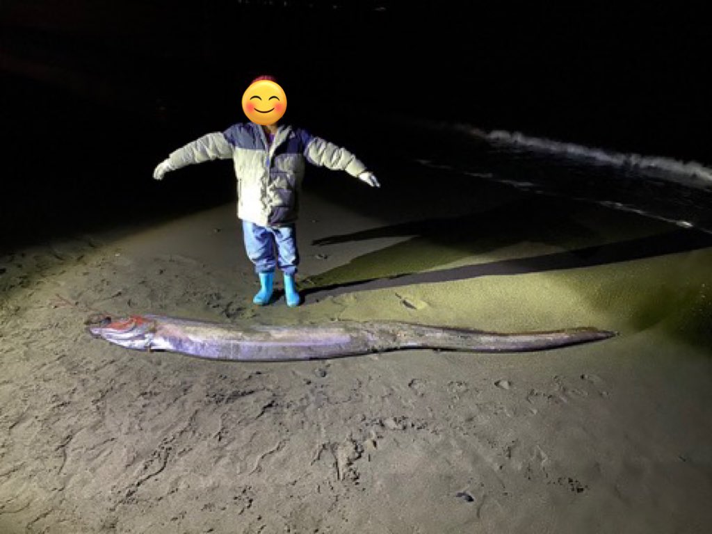 สิ่งมีชีวิต