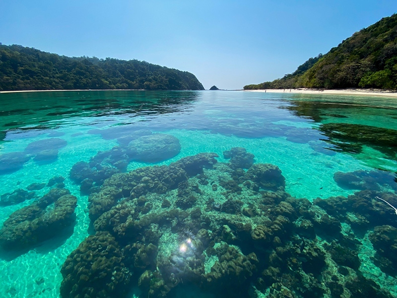 เกาะรอก