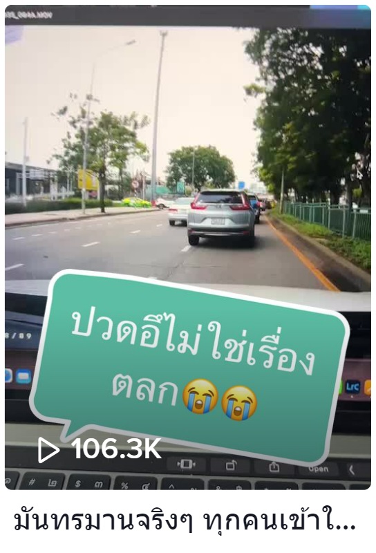 ใบเฟิร์น อัญชสา