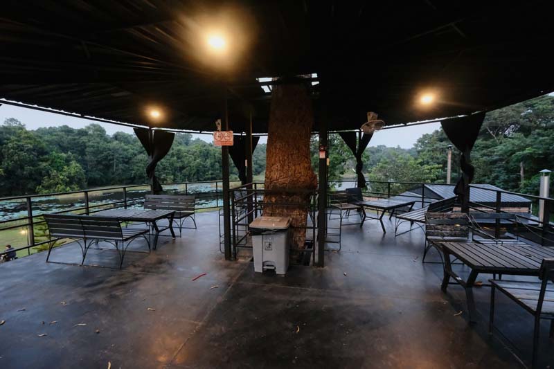Jungle Village Space
